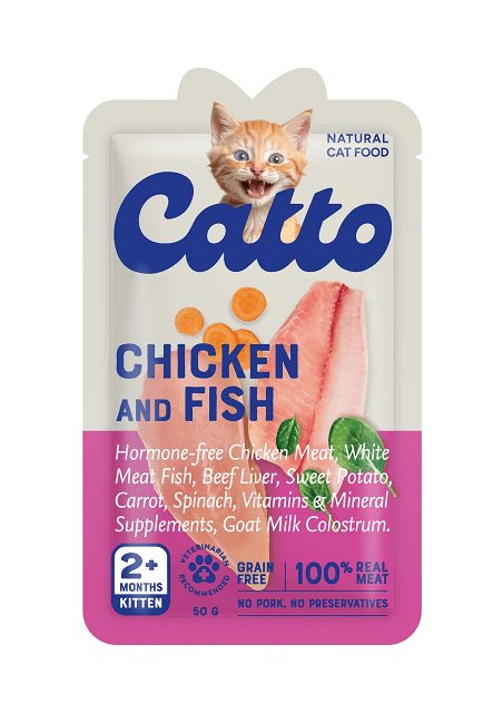 catto kitten sachet