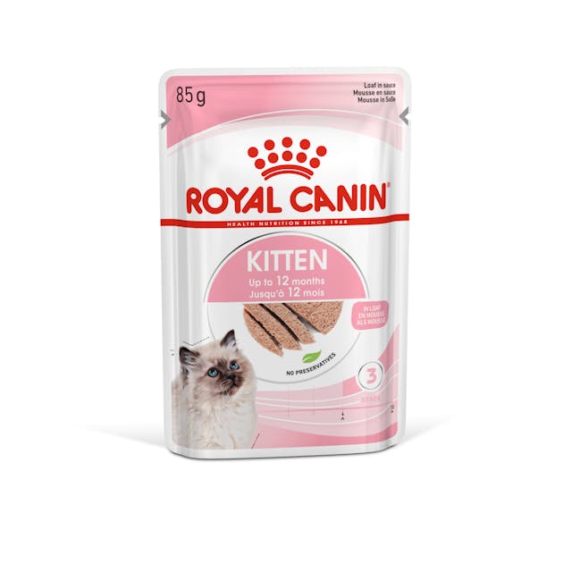royal canin kitten sachet