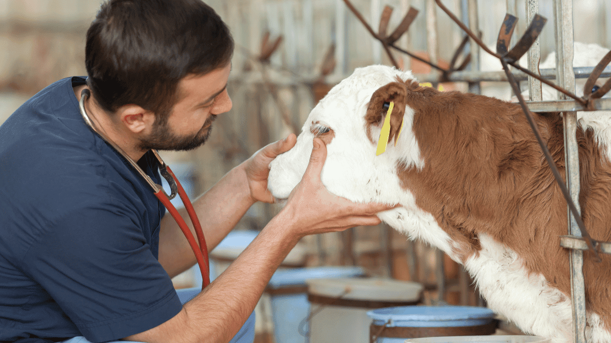 Daftar Alamat Klinik Dokter Hewan Kota Batu