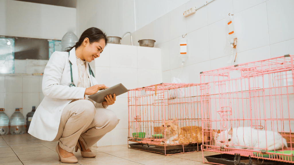 Daftar Alamat Klinik Dokter Hewan Tabanan