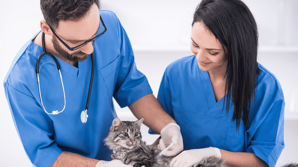 Daftar Alamat Klinik dan Dokter Hewan Banyuwangi