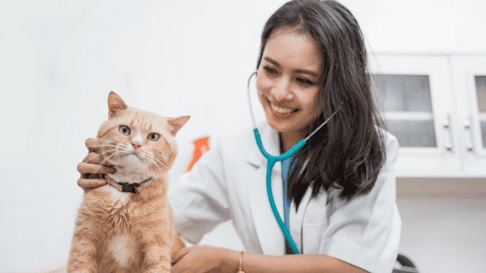 Klinik dan Dokter Hewan