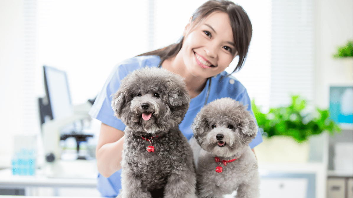 Daftar Alamat Klinik & Dokter Hewan se Medan