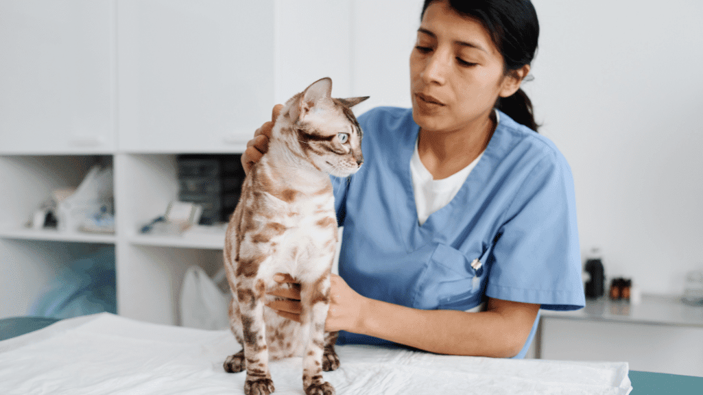 Daftar Alamat Klinik Dokter Hewan Sidoarjo