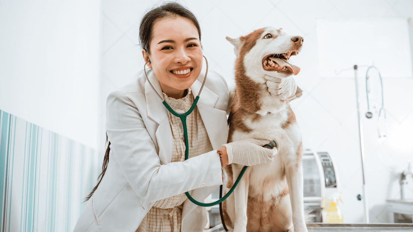 Dokter Hewan tangerang selatan