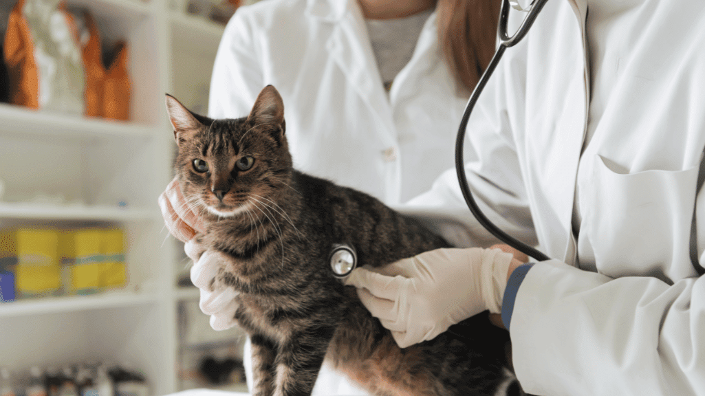 Daftar Alamat Klinik Dokter Hewan Bogor