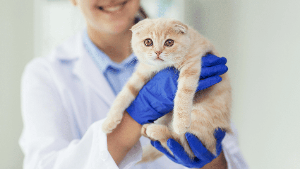 dokter hewan samarinda