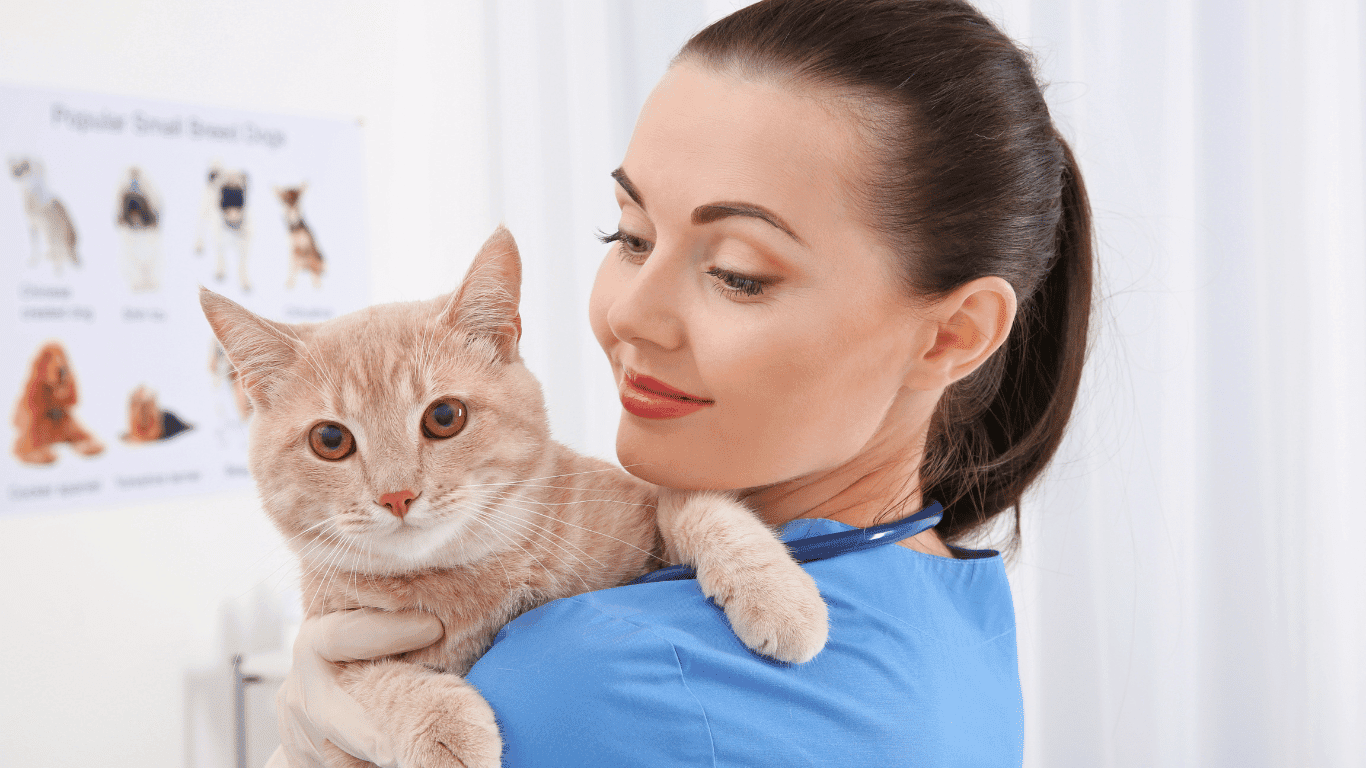 Dokter Hewan di Nganjuk